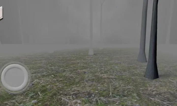 兰德里纳河森林雨天模组游戏(Slendrina: The Forest - It)1.0安卓版截图1