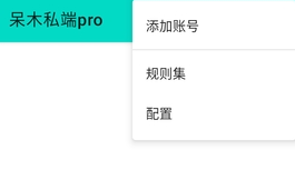 呆木私端PRO版 呆木私端PRO版