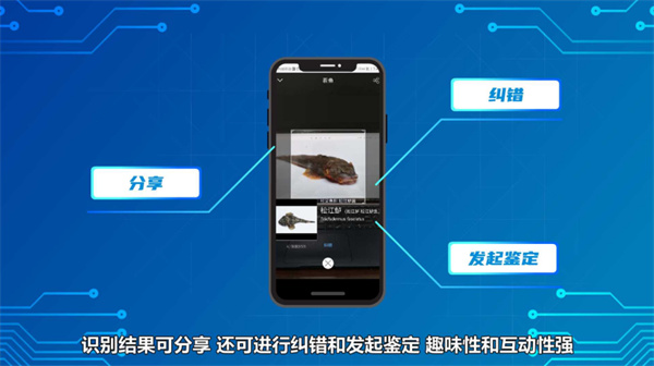 看鱼官方正版2.8.1安卓版截图0