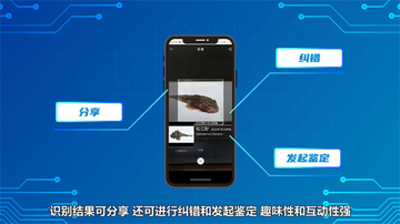 看鱼官方正版截图0