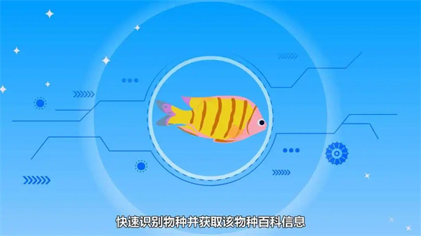 看鱼官方正版2.8.1安卓版截图2