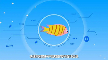看鱼官方正版截图2