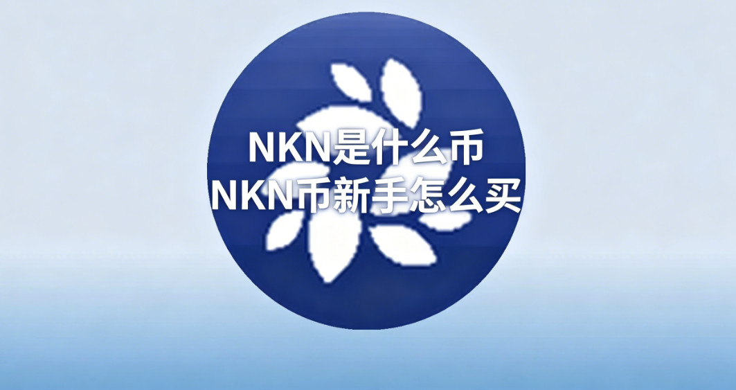 NKN��ʲô�� NKN��������ô��