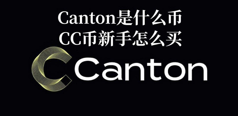 Canton��ʲô�� CC��������ô��