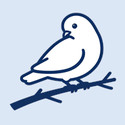bbspace�ٷ���1.6.32��׿��