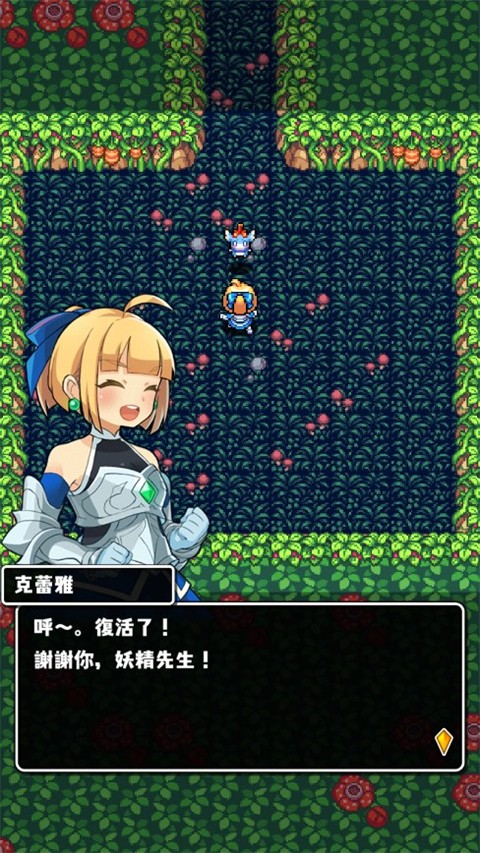 魔女迷宫rpg游戏(Labyrinth of the Witch)1.4.3安卓版截图3
