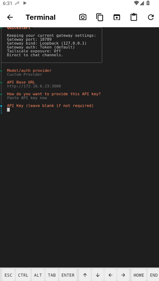 openclaw��׿��