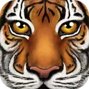 �ռ�����ģ������Ϸ1.2��׿��