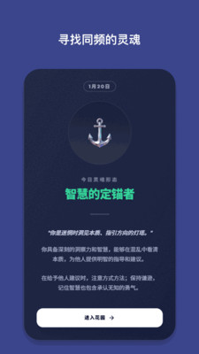 霖感Emote最新版预览图
