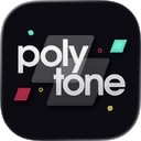 polytone��Ϸ2.3.1��׿��