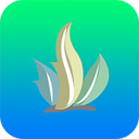 ��������tv��1.0.0 ���°�