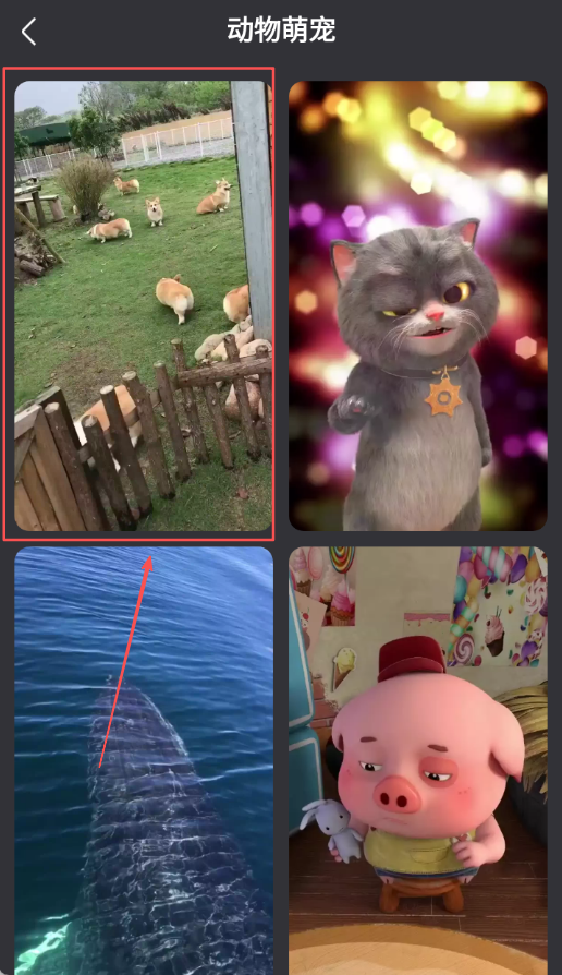 ��̬��ֽ�۹ٷ�����1.1.0��׿���ͼ1
