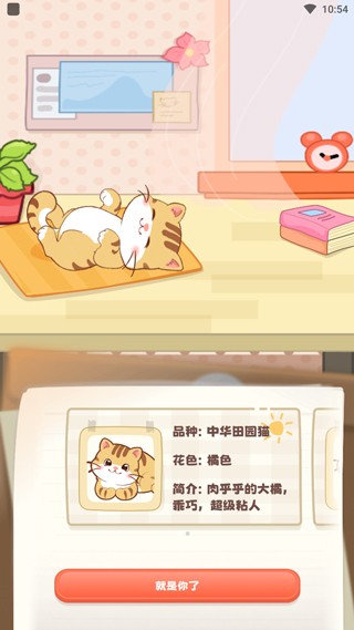 桌面喵官方版2.1.5手机版截图1