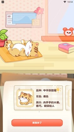 桌面喵官方版截图1