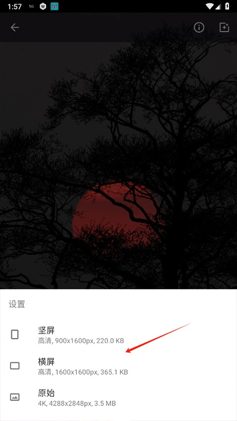 Wallcraft壁纸官方正版1.1安卓版截图1