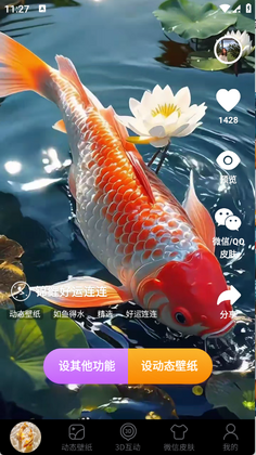 桌面养鱼壁纸正版截图2