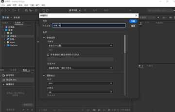 Adobe Bridge 2026������ʽ��Ԥ��ͼ