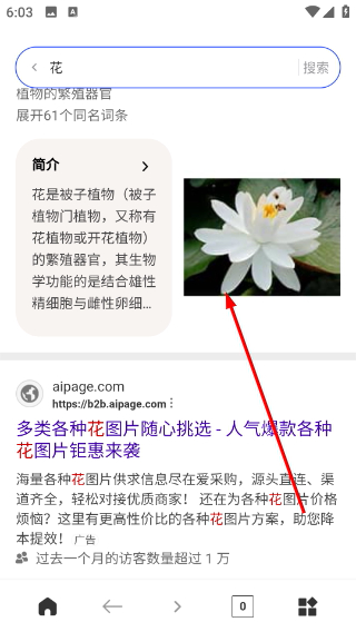 SM浏览器app1.0.1安卓版截图1