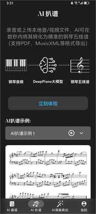 deeppiano����ٷ����ͼ2