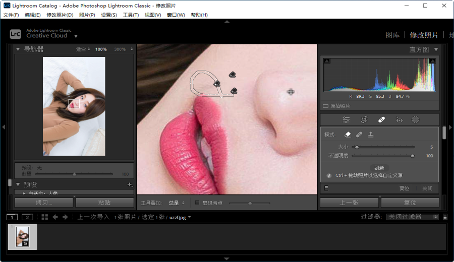 Lightroom Classic 2023���°汾