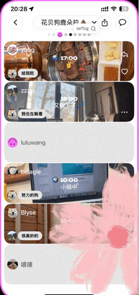 setlog官方版预览图