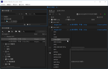 Adobe Media Encoder 2022������ͼ3