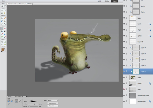 Photoshop Elements 2026�ɼ����