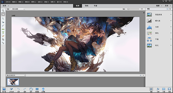 Photoshop Elements 2020直装破解版预览图