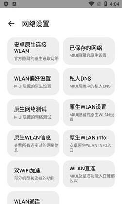 隐启设置Preview官方版截图2