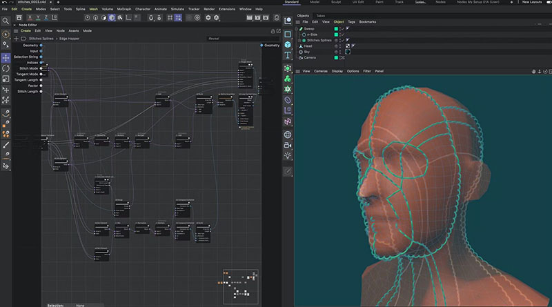 Maxon Cinema 4D 2024���¼����v2024.5.1���԰��ͼ3