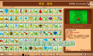 植物大战僵尸花园嘉年华pc版截图4