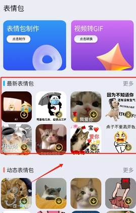 Top精灵小组件官方版截图2