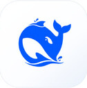 DeepSeek���԰�(DeepSeek GUI)0.2.7���°�