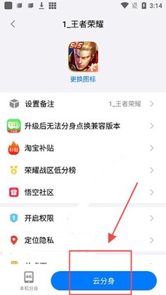 王者分身截图1