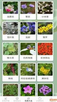 缤纷花草截图2