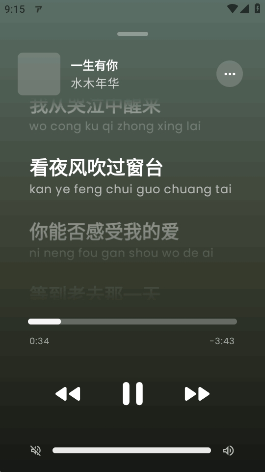 ArchiveTune13.4.0安卓版截图1