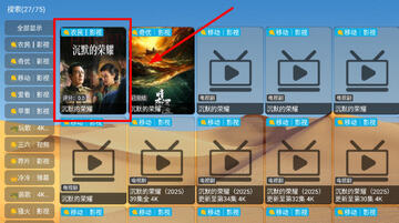大强影视电视版app截图1