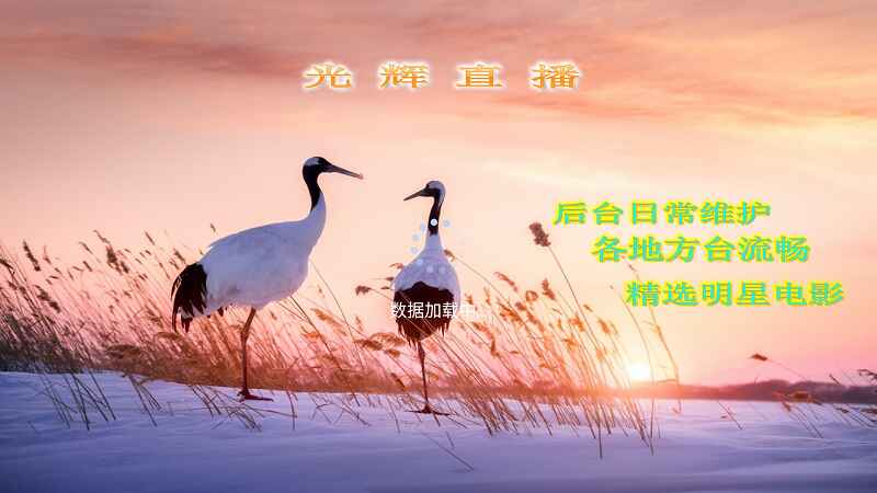 光辉直播软件最新版TV5.2.1官方版截图1