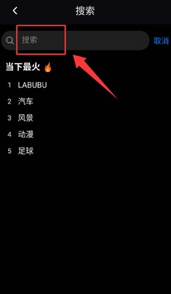 极简壁纸手机版截图3