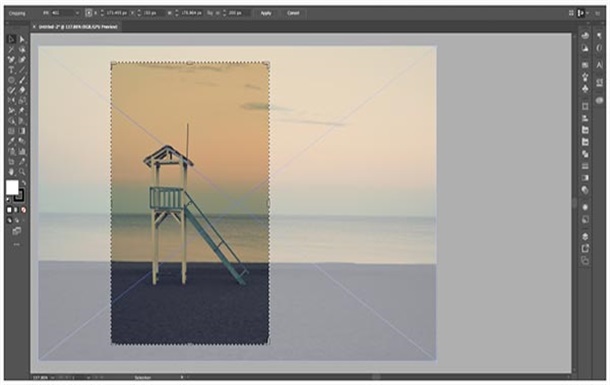 Illustrator CC2019最新版预览图