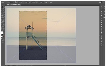 Illustrator CC2019最新版截图0