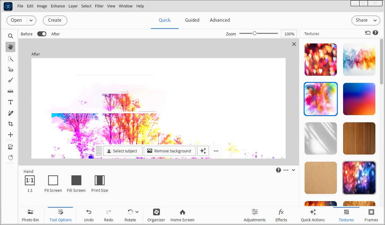 Photoshop Elements 2026可激活版预览图