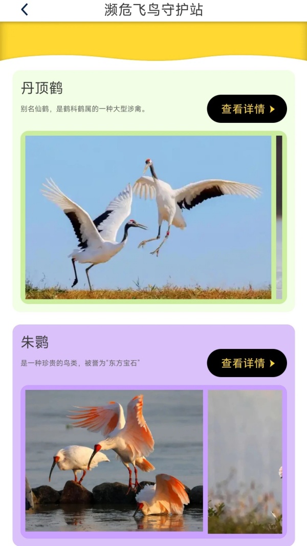 ���������ֻ���Ԥ��ͼ