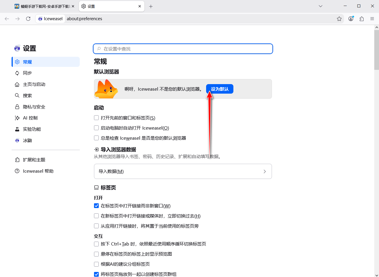 Iceweasel浏览器 Iceweasel浏览器