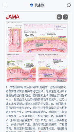 灵杏源预览图