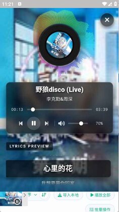MusicDL app预览图