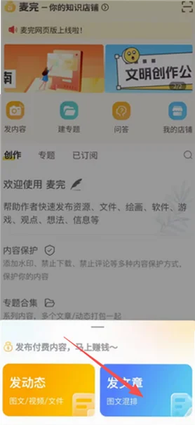 麦完正版预览图