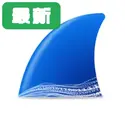 Wireshark�ٷ�����4.6.8��Я��
