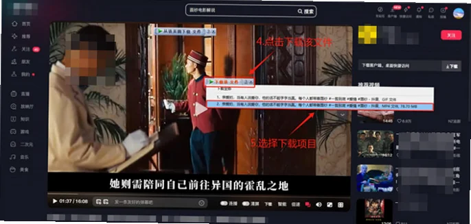 Internet Download Manager免激活版 Internet Download Manager免激活版