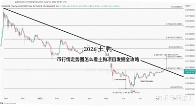2026����������